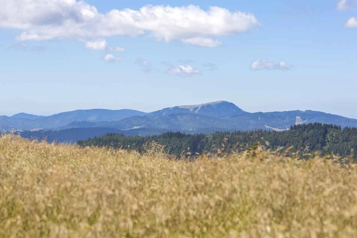 Feldberg & Aktivitäten – Ferienhaus an der Haslach