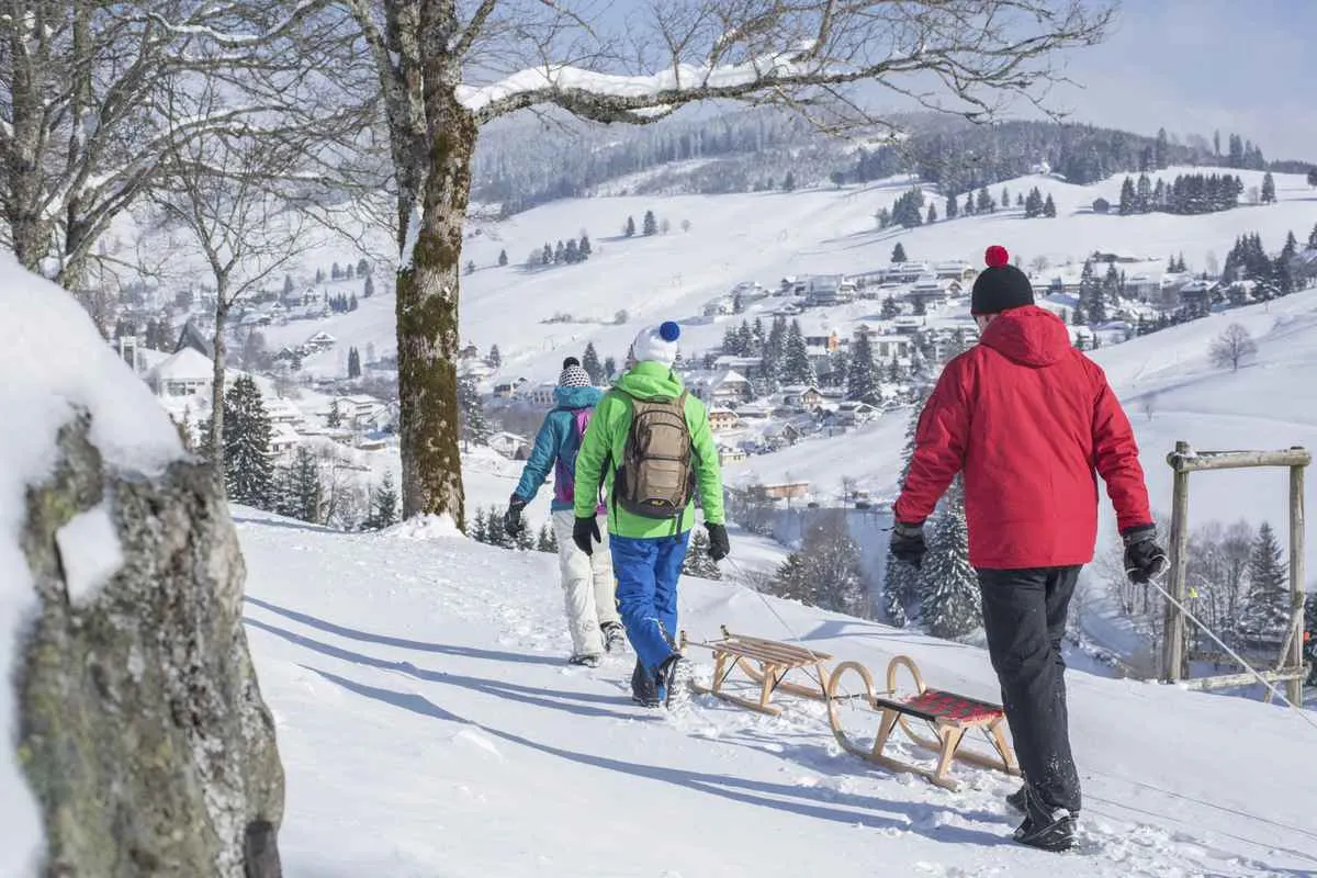 Feldberg & Aktivitäten – Ferienhaus an der Haslach