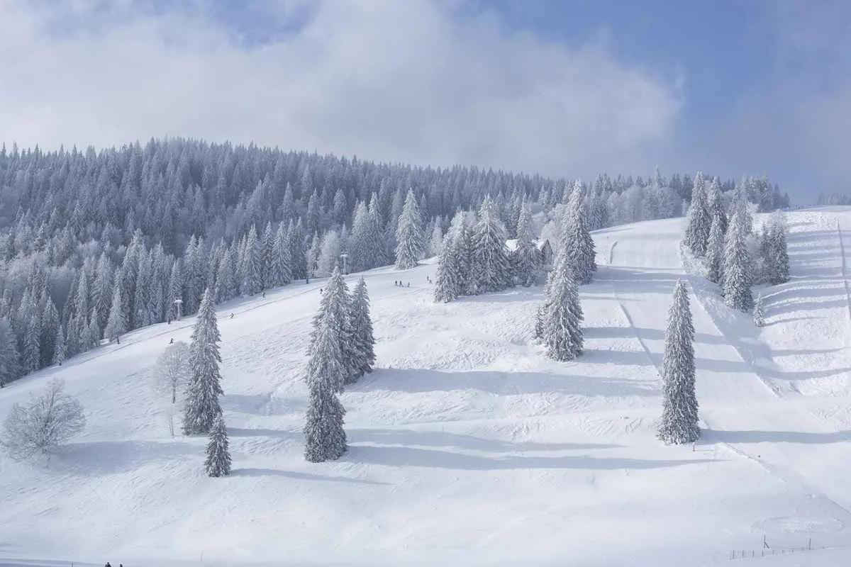 Feldberg & Aktivitäten – Ferienhaus an der Haslach